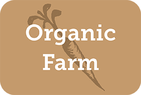 Web of Life Organic Farm