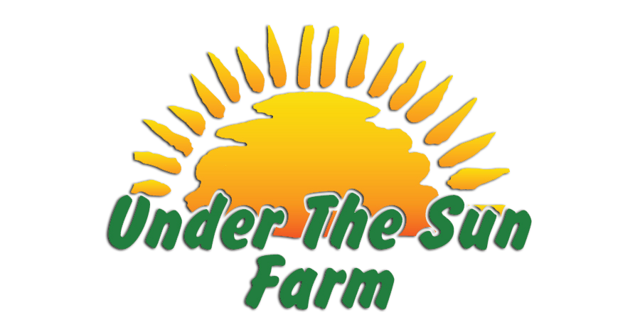 Under the Sun Farm