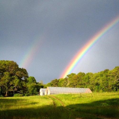 Bay End Farm