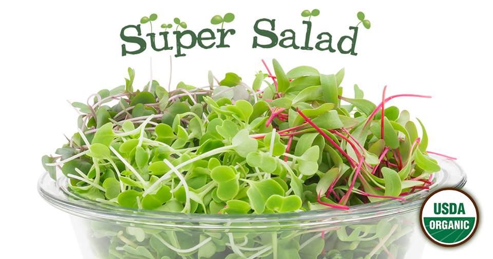 super salad.jpg