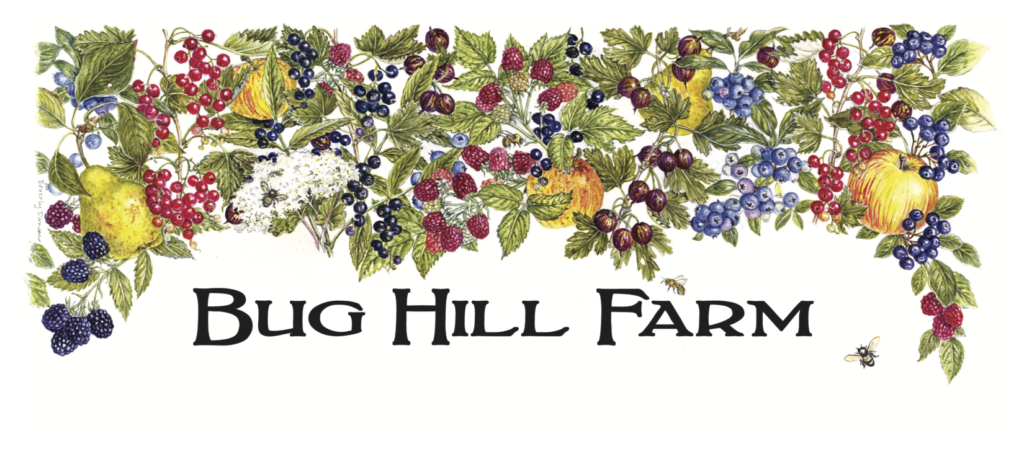 Bug Hill Farm