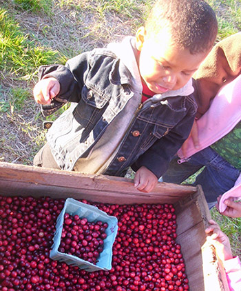 Fresh Meadows Farm