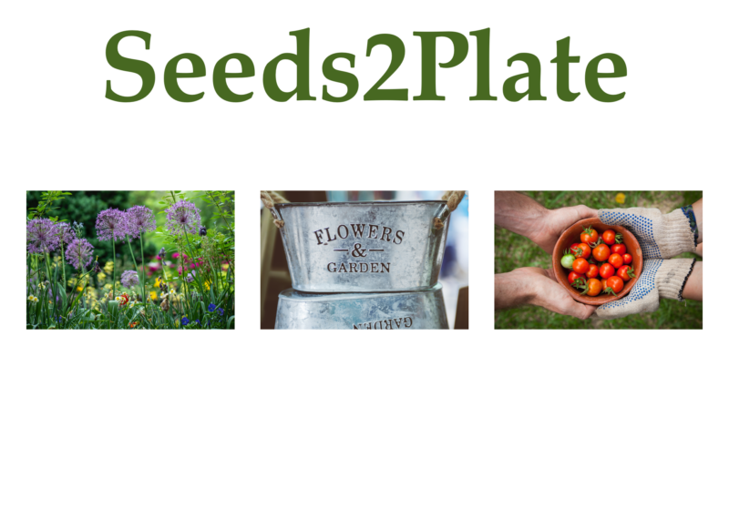 Seeds2Plate